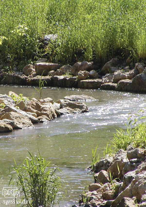 Watershed projects on northeast Iowa’s famed trout streams over the last two decades have improved water quality, and in turn, wild trout populations, fishing and tourism | Iowa DNR